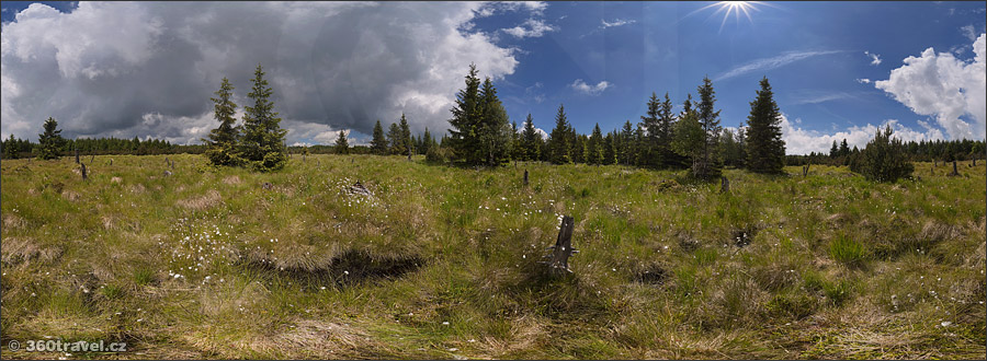 Play virtual tour - Great Grouse Mating Area